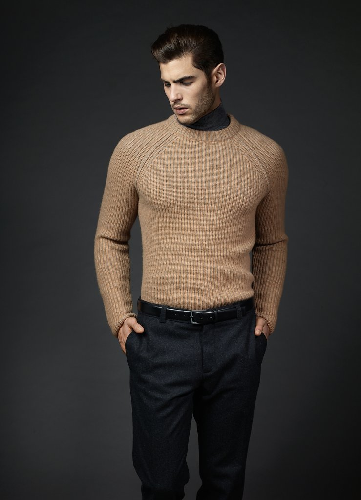 FALKE-Menswear-Crew-Neck-1150758-Roll-Neck-1150566.jpg